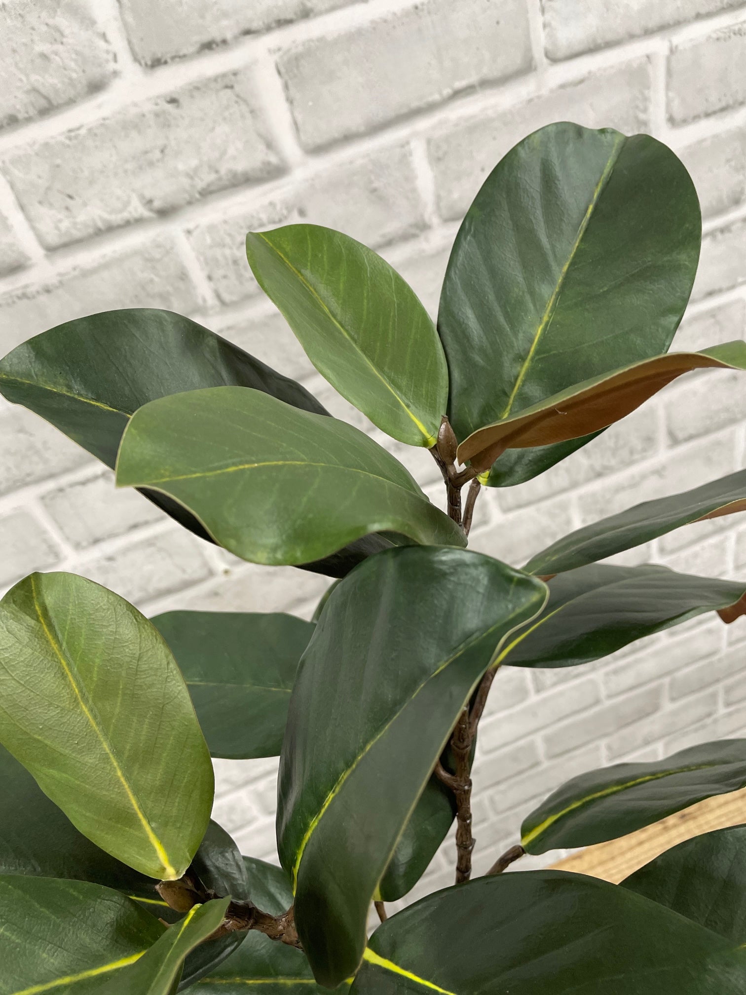 ITEM 11664 GR - 21.5" GREEN MAGNOLIA SPRAY WITH 10 LEAVES