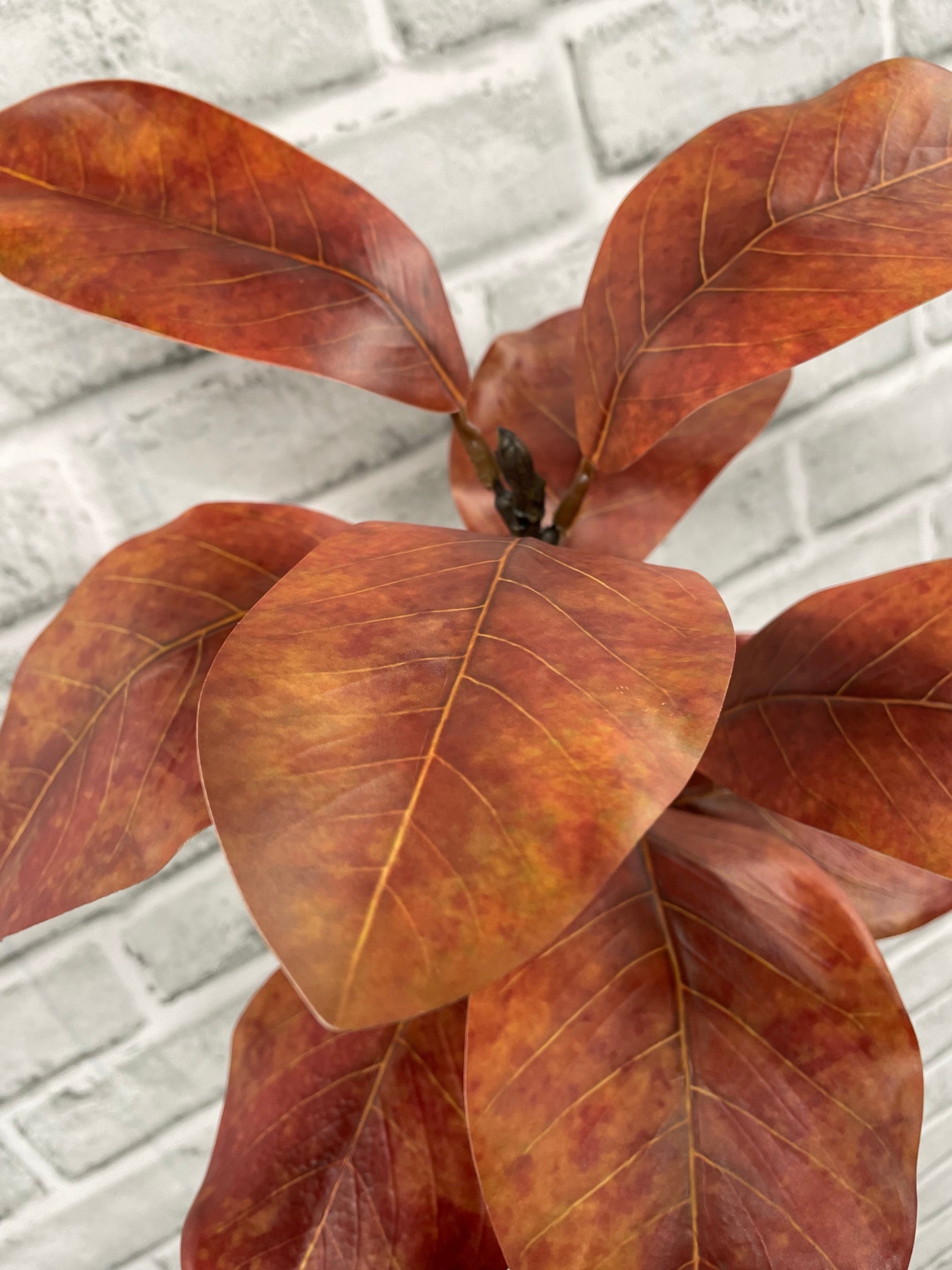 ITEM 11664 RED - 21.5" RED MAGNOLIA SPRAY WITH 10 LEAVES