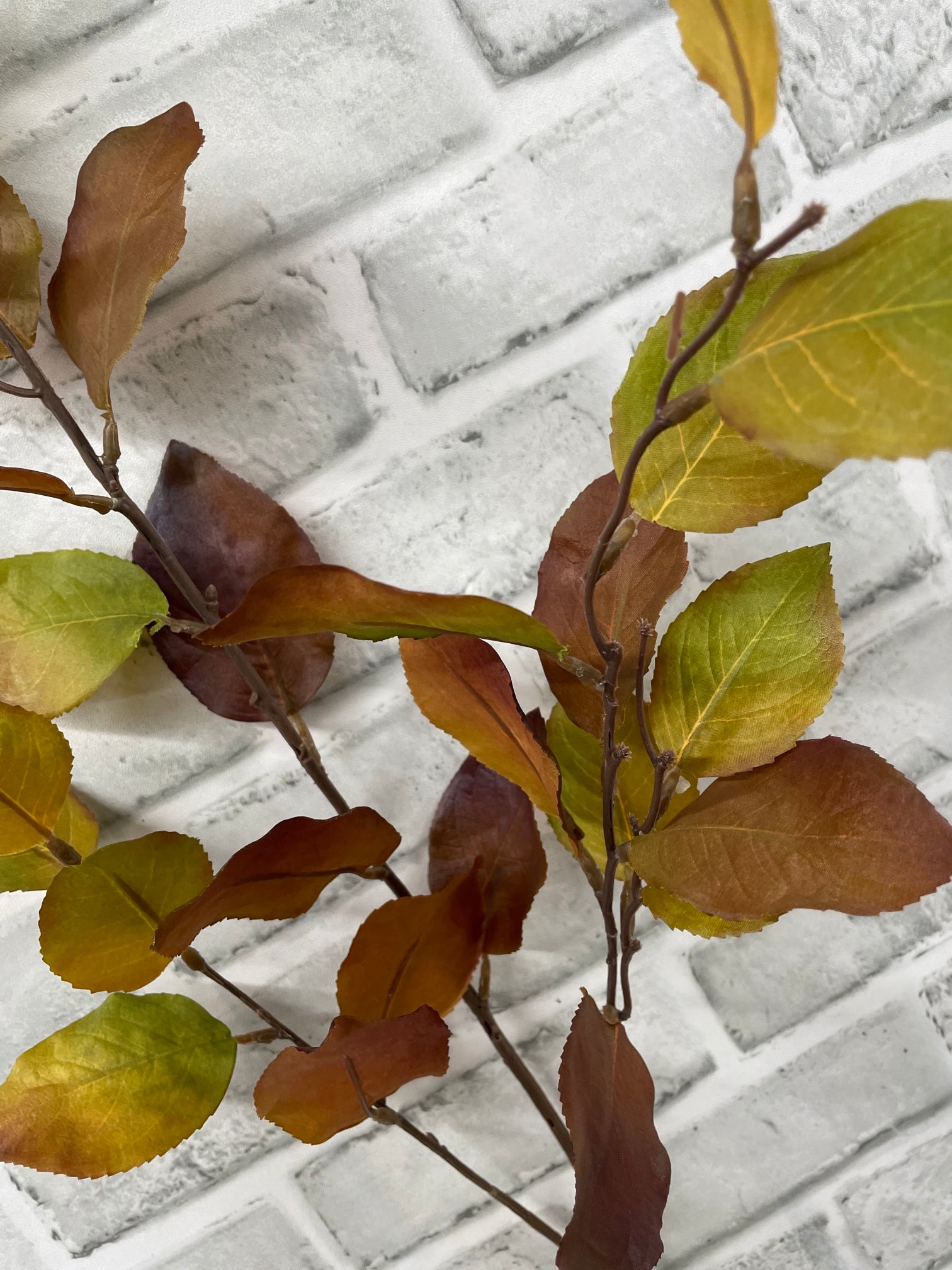 ITEM 11670 BRGR - 42" BROWN GREEN LEMON LEAF SPRAY