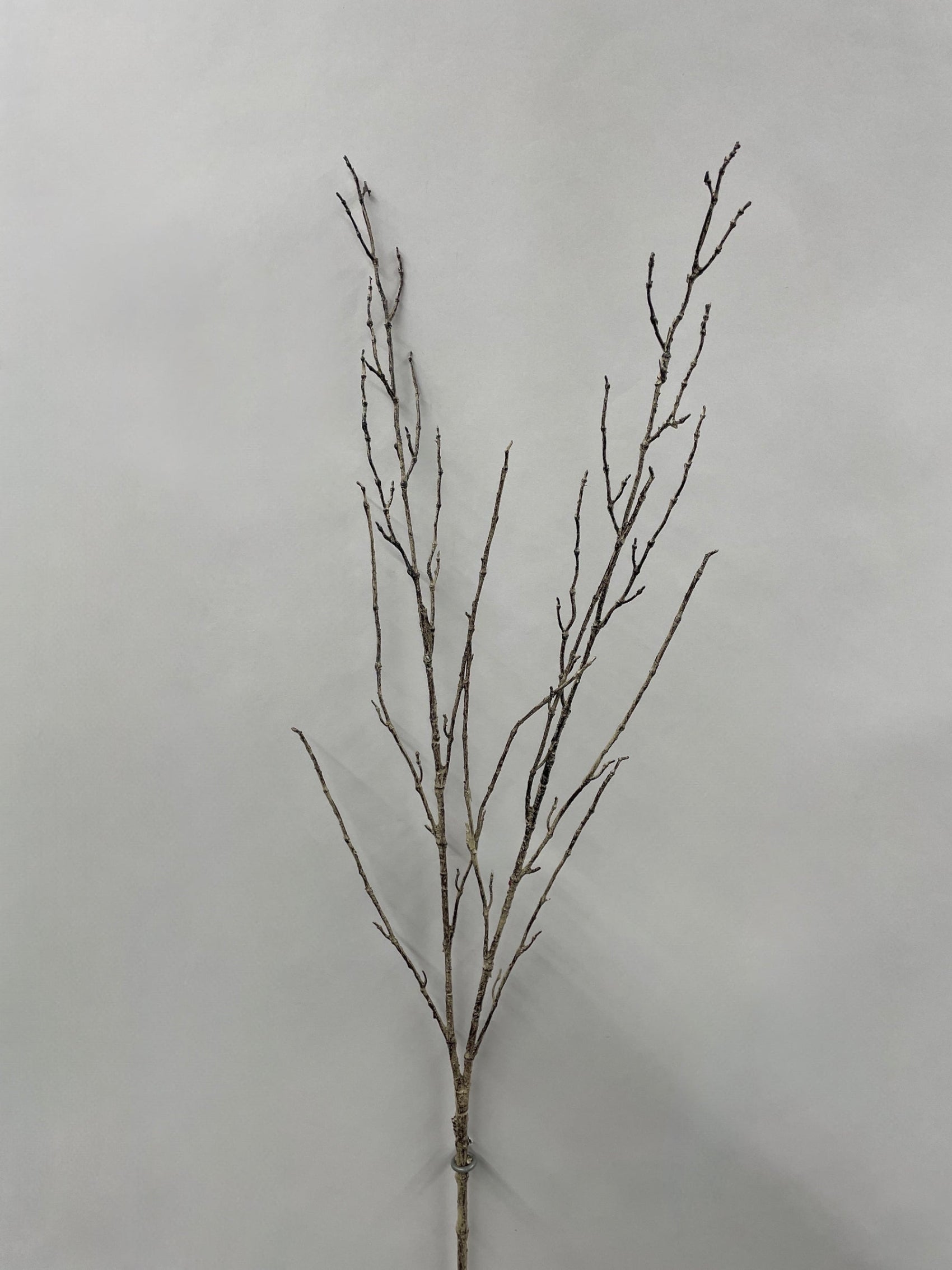 ITEM 11680 - 42" TWIG BRANCH