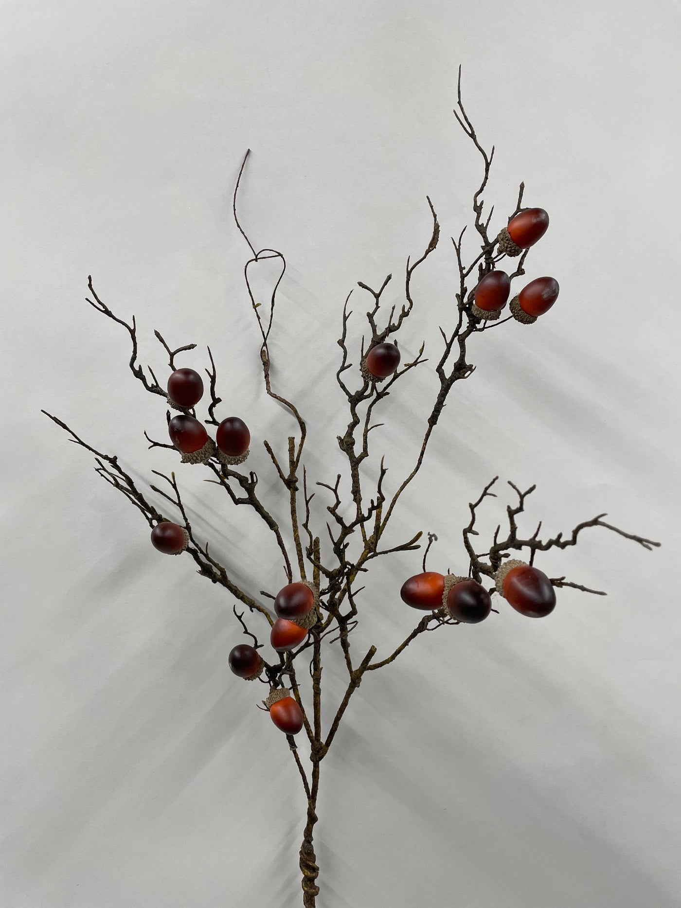 ITEM 11684 - 34.5" ACORN SPRAY