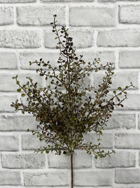 ITEM 11691 BURGR - 20" BURGUNDY GREEN BABY TEARS BUSH