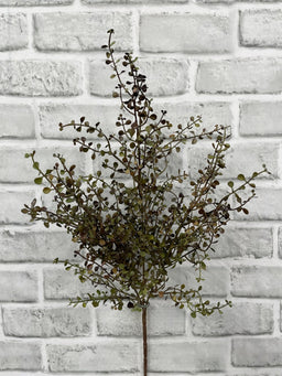 ITEM 11691 BURGR - 20" BURGUNDY GREEN BABY TEARS BUSH