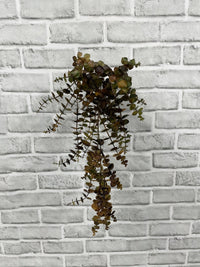 ITEM 11693 BRGR - 21" FALL BROWN GREEN EUCALYPTUS HANGING VINE BUSH