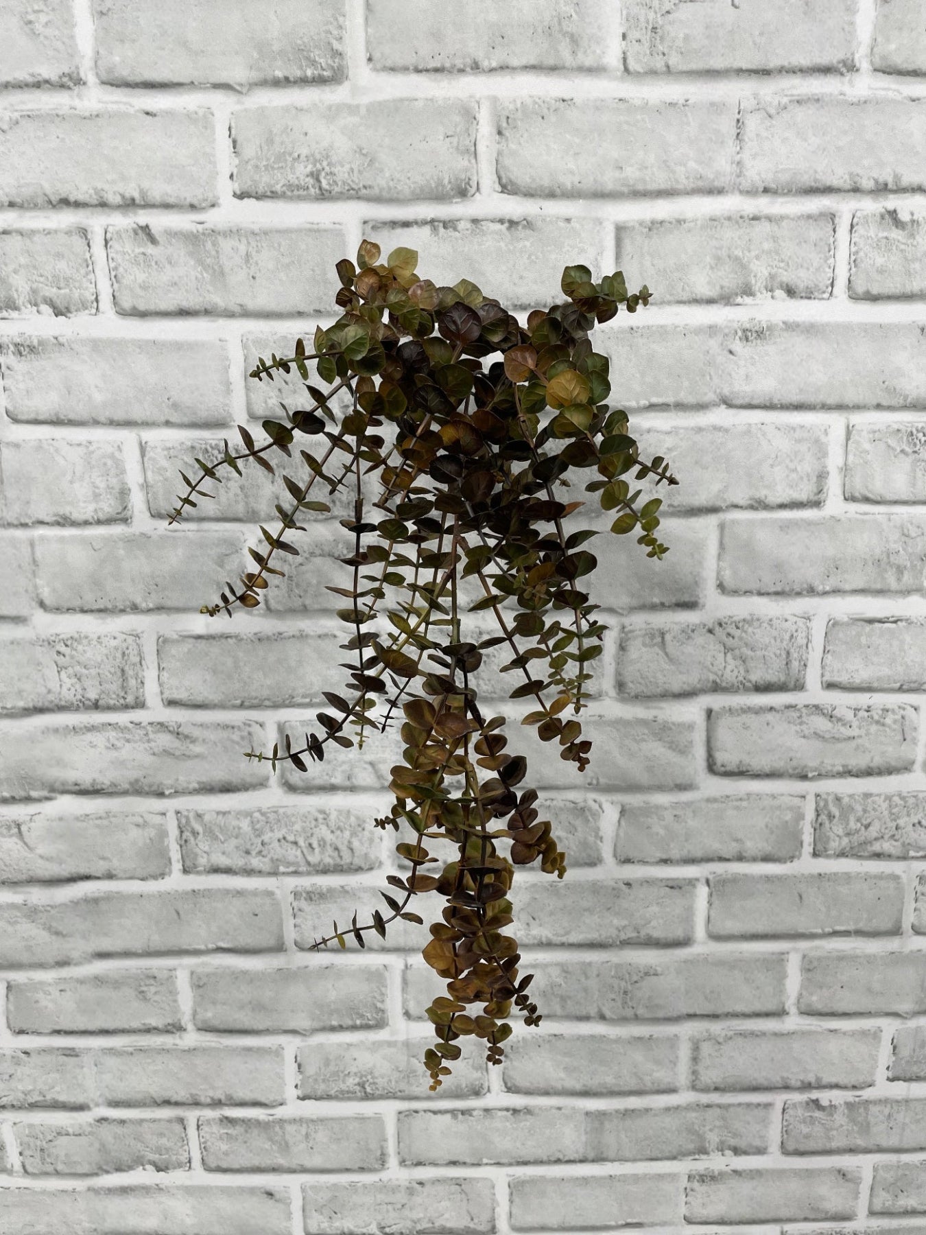 ITEM 11693 BRGR - 21" FALL BROWN GREEN EUCALYPTUS HANGING VINE BUSH