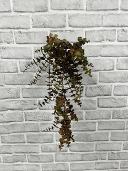 ITEM 11693 BRGR - 21" FALL BROWN GREEN EUCALYPTUS HANGING VINE BUSH