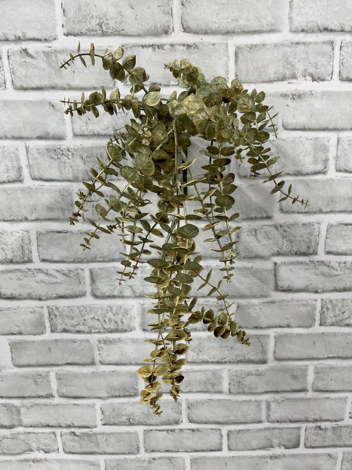 ITEM 11693 CMGR - 21" CREAM GREEN EUCALYPTUS HANGING VINE BUSH