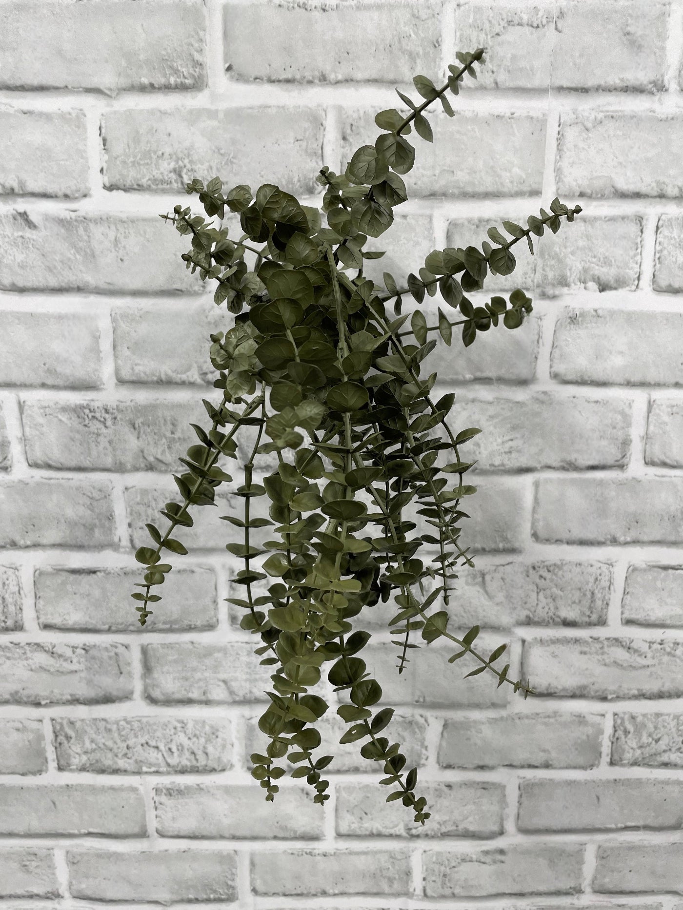 ITEM 11693 GR - 21" DARK GREEN EUCALYPTUS HANGING VINE BUSH