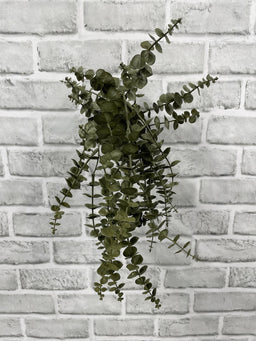 ITEM 11693 GR - 21" DARK GREEN EUCALYPTUS HANGING VINE BUSH