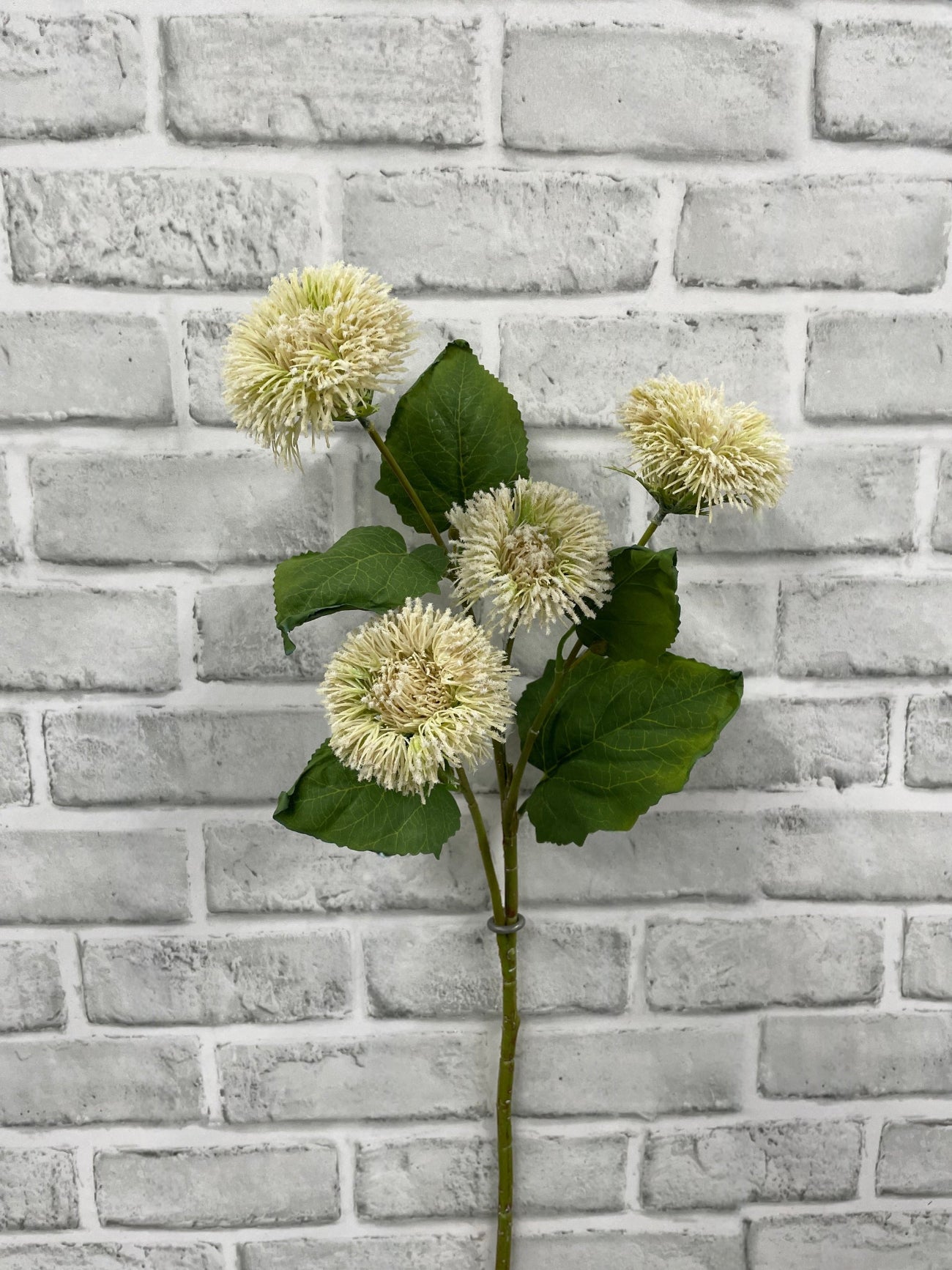 ITEM 11700 CM - 26" CREAM ALLIUM SPRAY