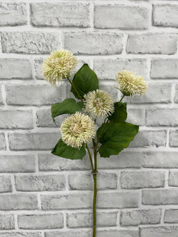 ITEM 11700 CM - 26" CREAM ALLIUM SPRAY