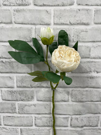 ITEM 11702 CM - 19.5" CREAM DRIED LOOK CLOSED BRITISH PEONY STEM