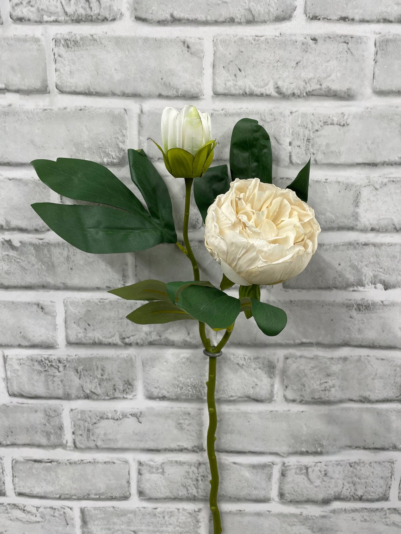 ITEM 11702 CM - 19.5" CREAM DRIED LOOK CLOSED BRITISH PEONY STEM