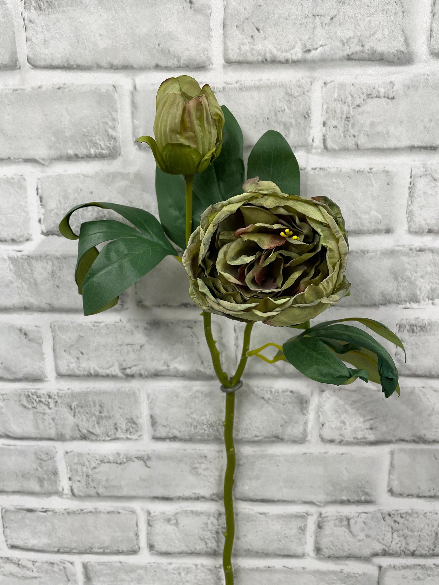 ITEM 11702 GR - 19.5" GREEN DRIED LOOK CLOSED BRITISH PEONY STEM