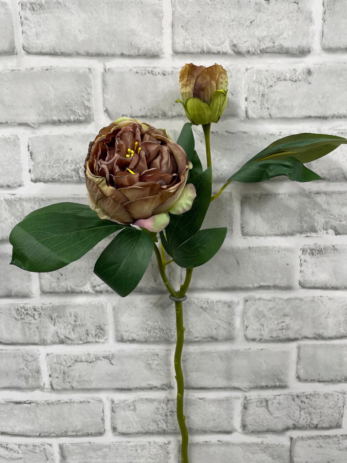 ITEM 11702 ROSE - 19.5" ROSE DRIED LOOK CLOSED BRITISH PEONY STEM