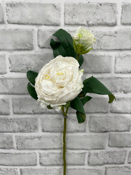 ITEM 11702 W - 19.5" WHITE DRIED LOOK CLOSED BRITISH PEONY STEM