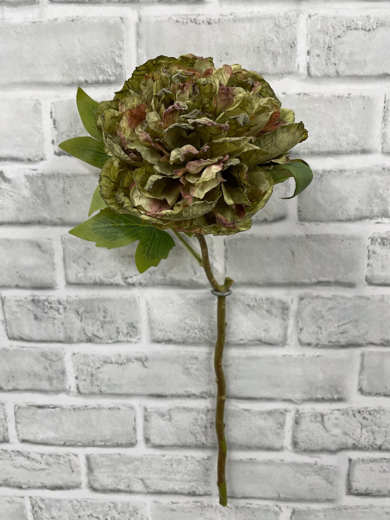 ITEM 11703 GR - 19.5" GREEN DRIED LOOK OPEN BRITISH PEONY STEM