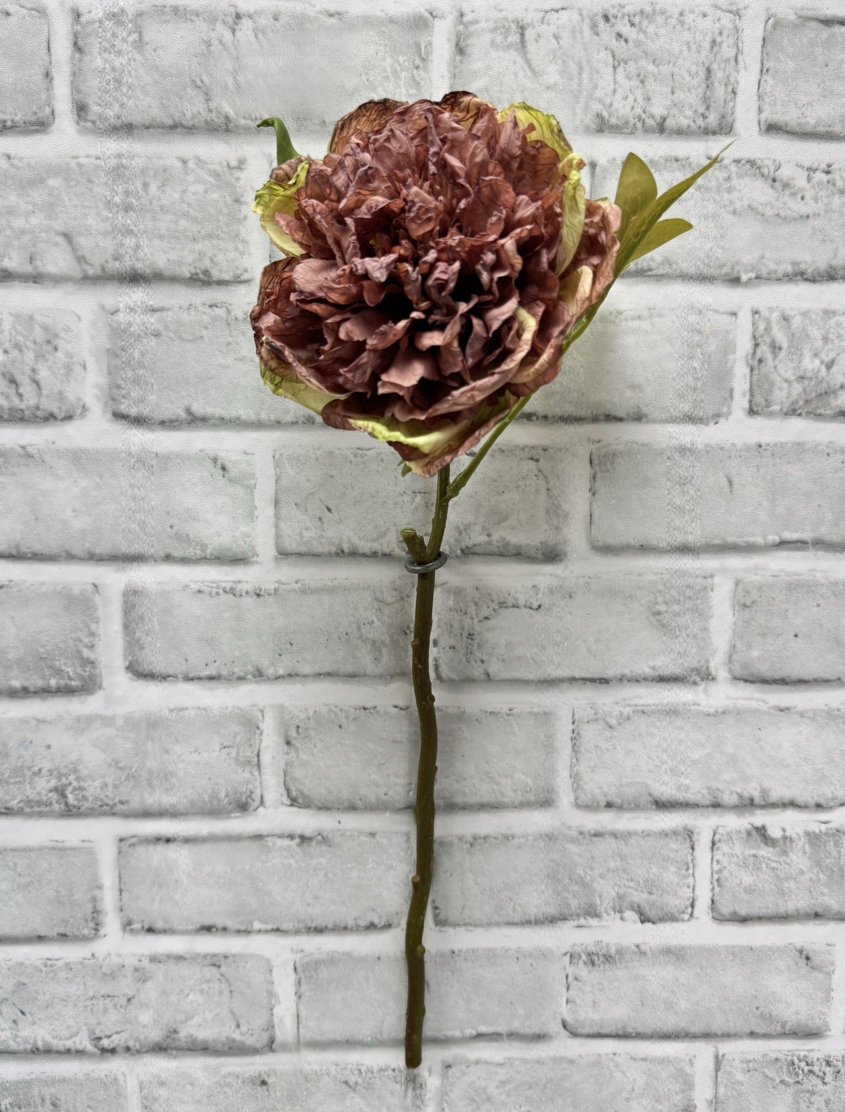 ITEM 11703 ROSE - 19.5" ROSE DRIED LOOK OPEN BRITISH PEONY STEM