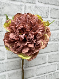 ITEM 11703 ROSE - 19.5" ROSE DRIED LOOK OPEN BRITISH PEONY STEM