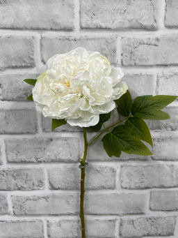 ITEM 11703 W - 19.5" WHITE DRIED LOOK OPEN BRITISH PEONY STEM
