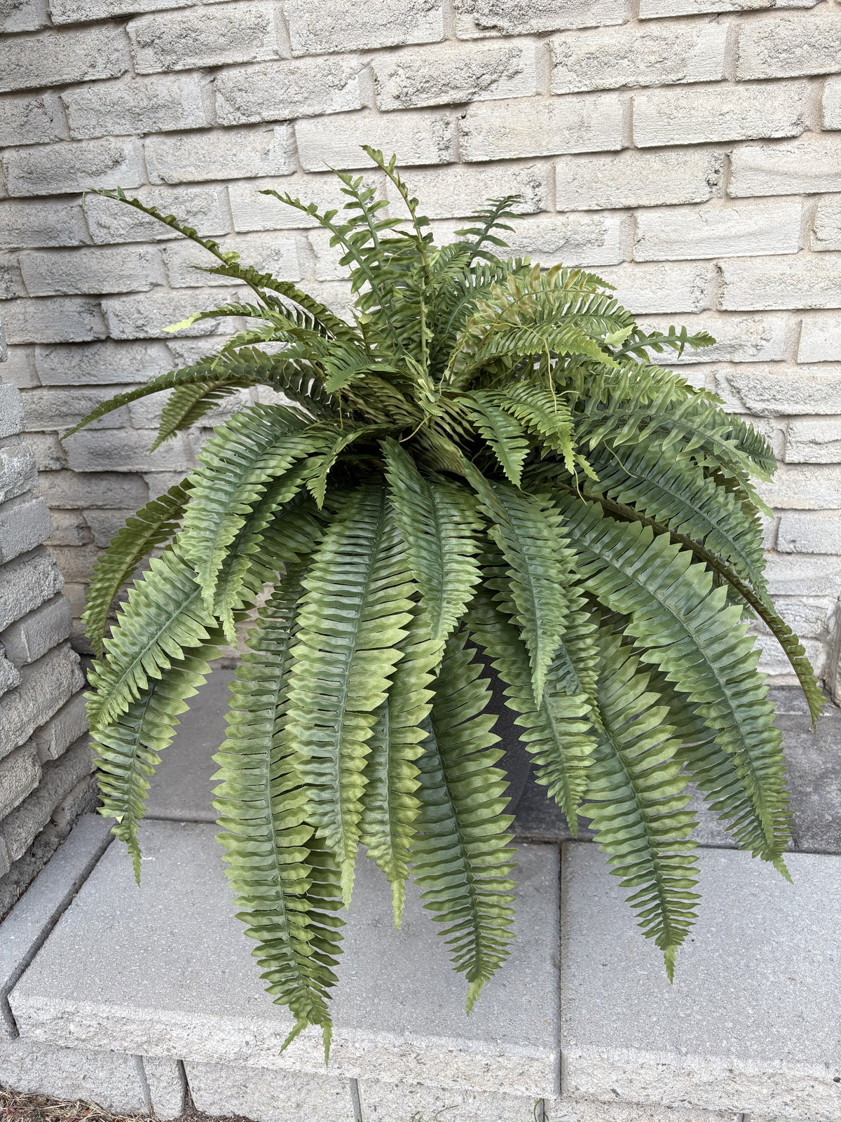 ITEM 11712 - 32" BOSTON FERN BUSH WITH 68 LEAVES ( UV PROTECTION )
