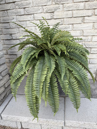 ITEM 11712 - 32" BOSTON FERN BUSH WITH 68 LEAVES ( UV PROTECTION )