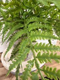 ITEM 11716 - 17.5"   UV FRESH TOUCH LEATHERLEAF FERN BUSH WITH 18 LEAVES