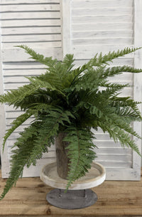 ITEM 11719 - 26" UV  PROTECTED LADY FERN BUSH