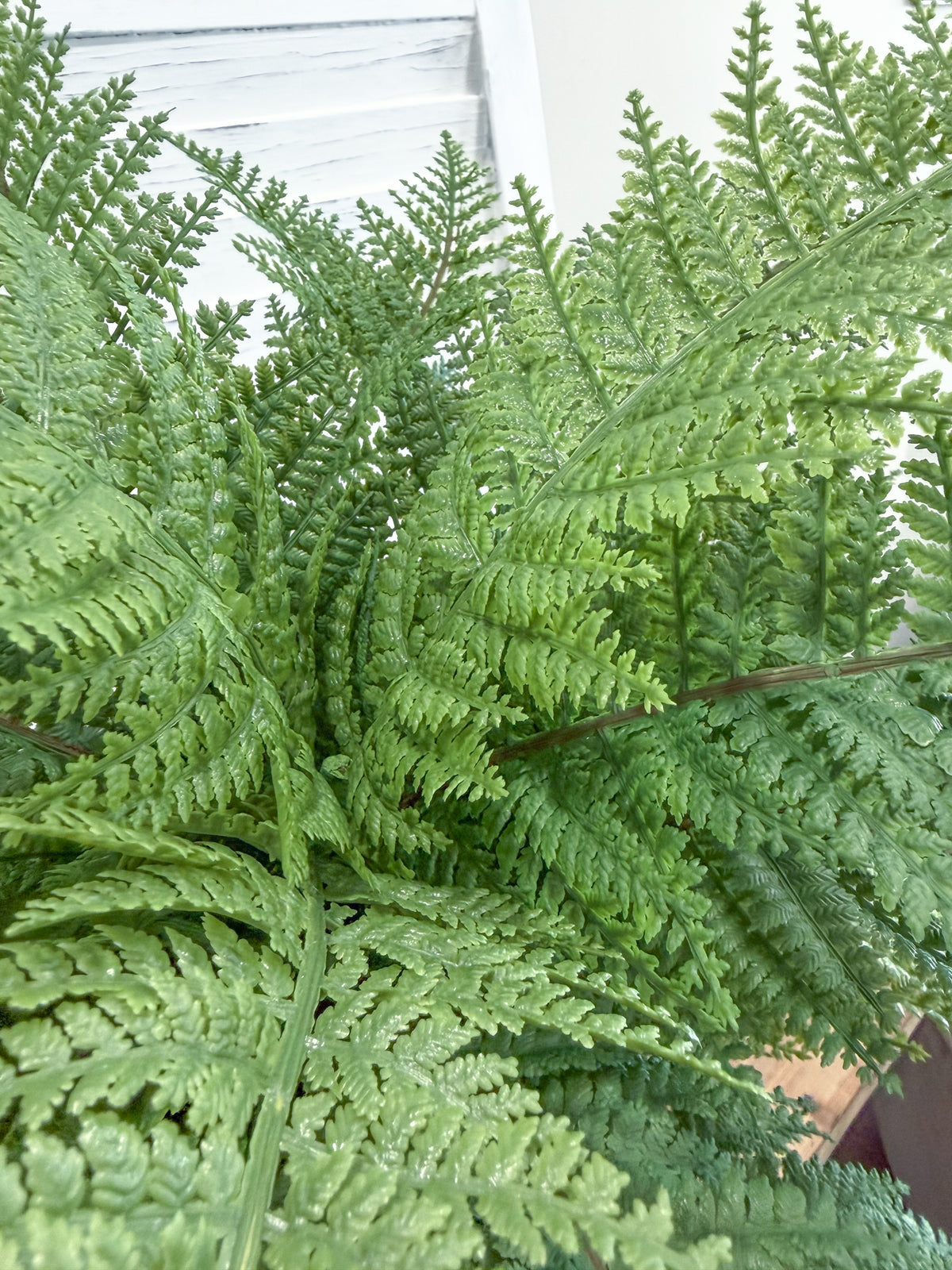 ITEM 11719 - 26" UV  PROTECTED LADY FERN BUSH