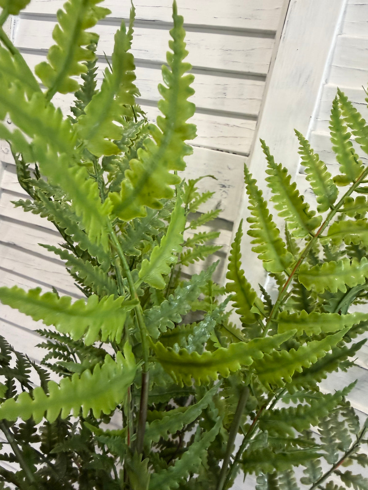 ITEM 11719 - 26" UV  PROTECTED LADY FERN BUSH