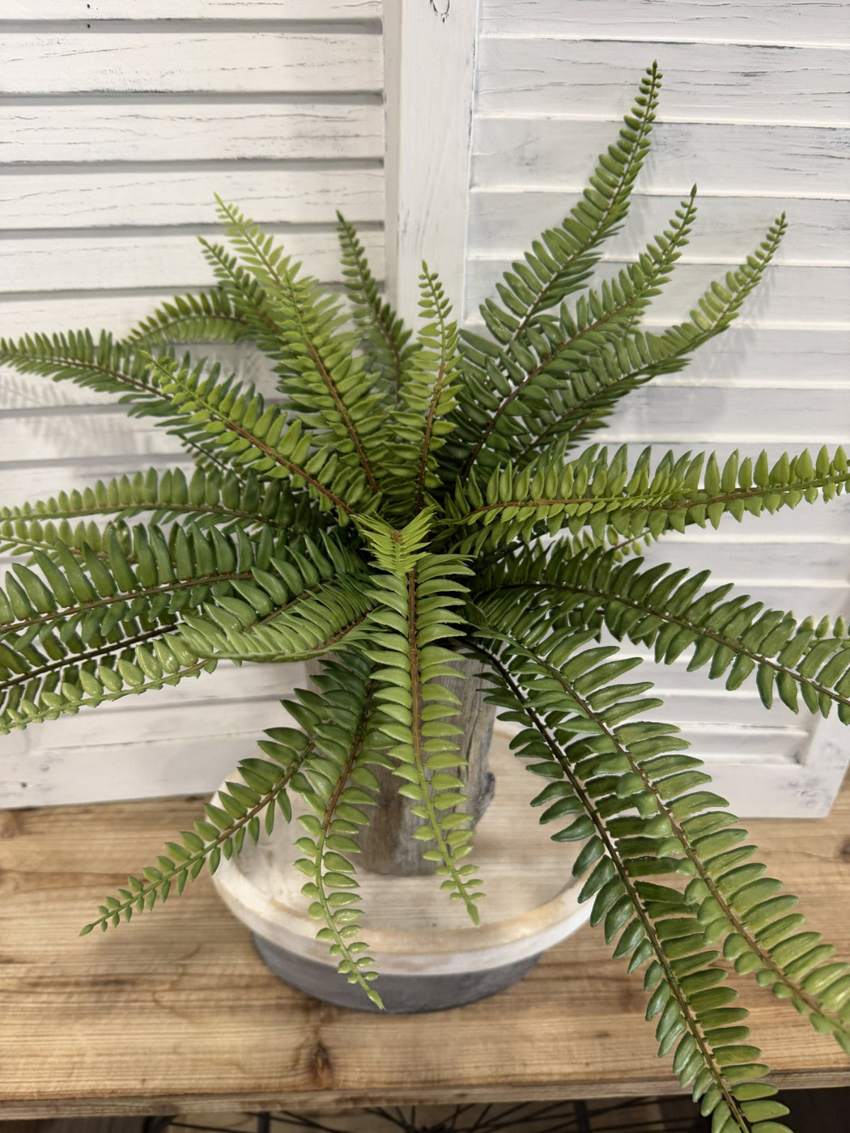 ITEM 11720 - 19.5" UV PROTECTED SWORD FERN BUSH