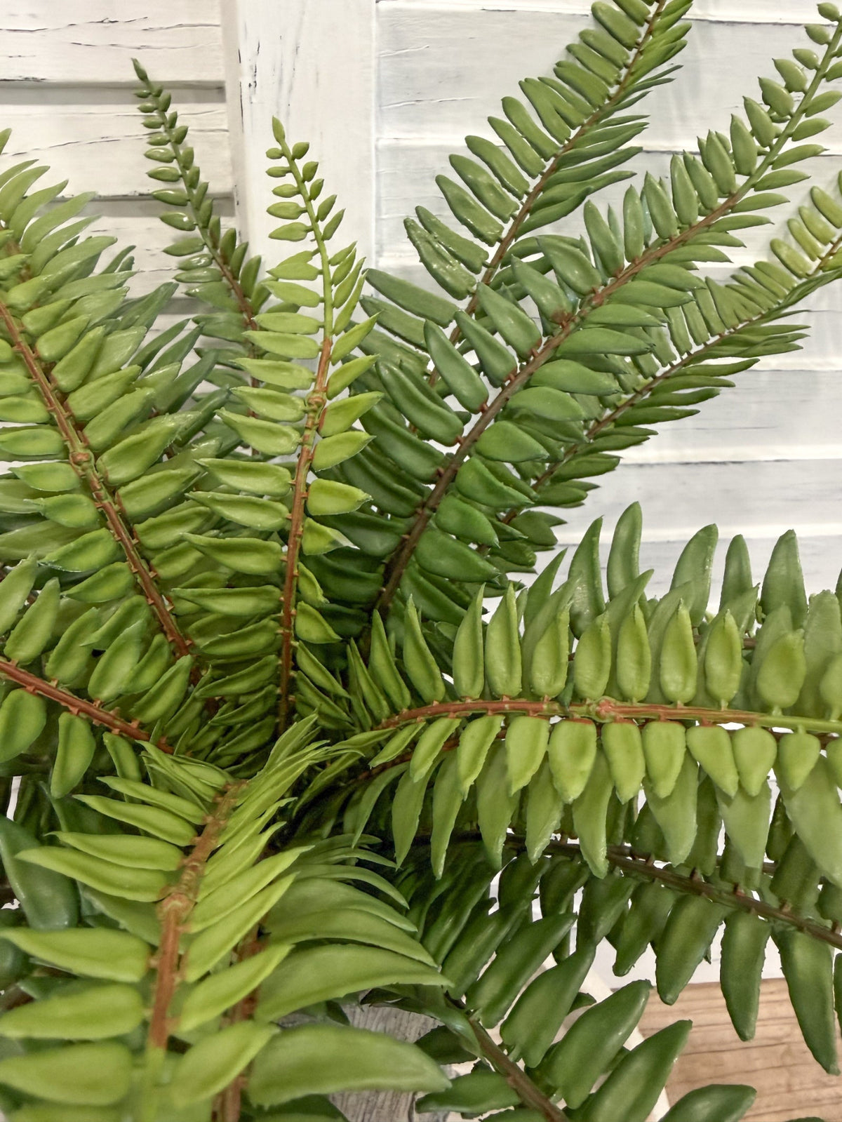 ITEM 11720 - 19.5" UV PROTECTED SWORD FERN BUSH