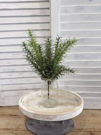 ITEM 11722 - 13" ROSEMARY BUSH