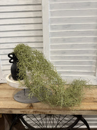 ITEM 11724 - 32" SPANISH MOSS BUSH