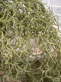 ITEM 11724 - 32" SPANISH MOSS BUSH