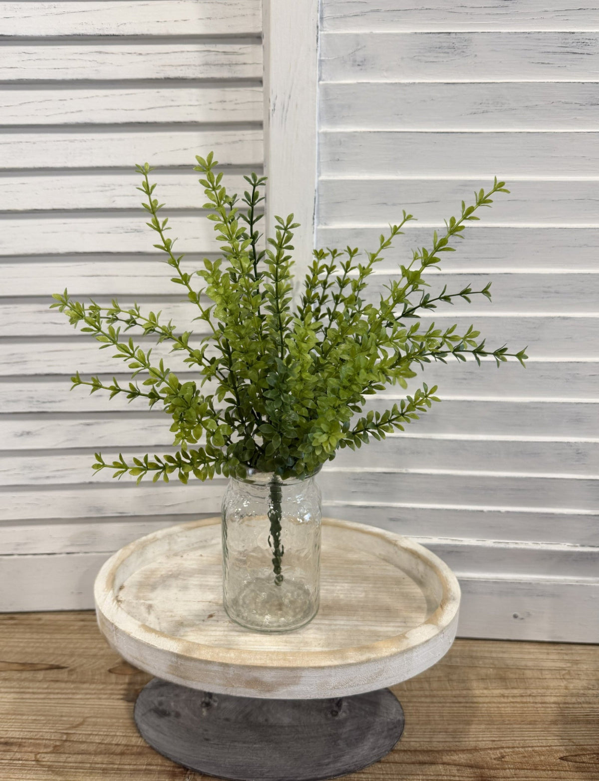 ITEM 11725 - 15" JAPANESE BOXWOOD BUSH
