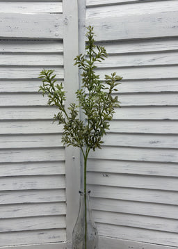 ITEM 11726 - 26" TEA LEAF SPRAY