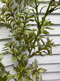 ITEM 11726 - 26" TEA LEAF SPRAY