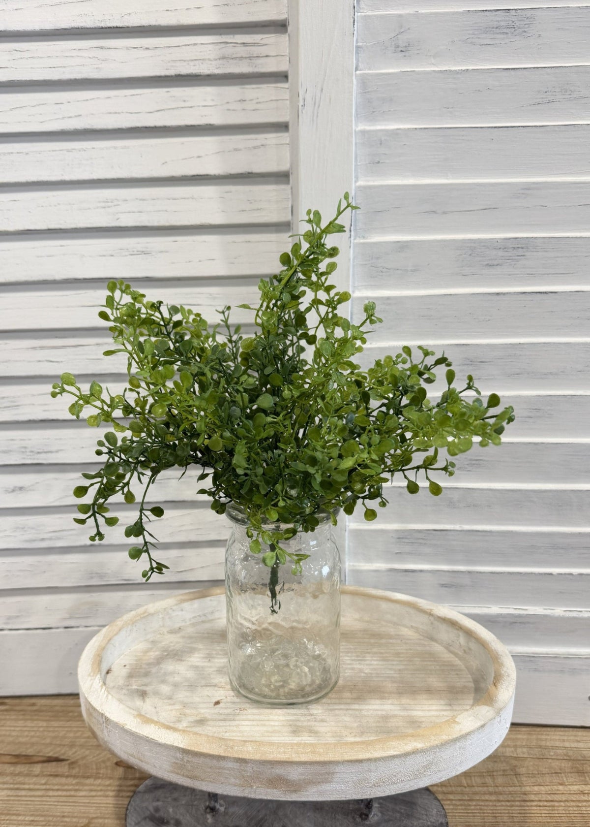 ITEM 11727 - 12" GREEN BABY TEARS BUSH