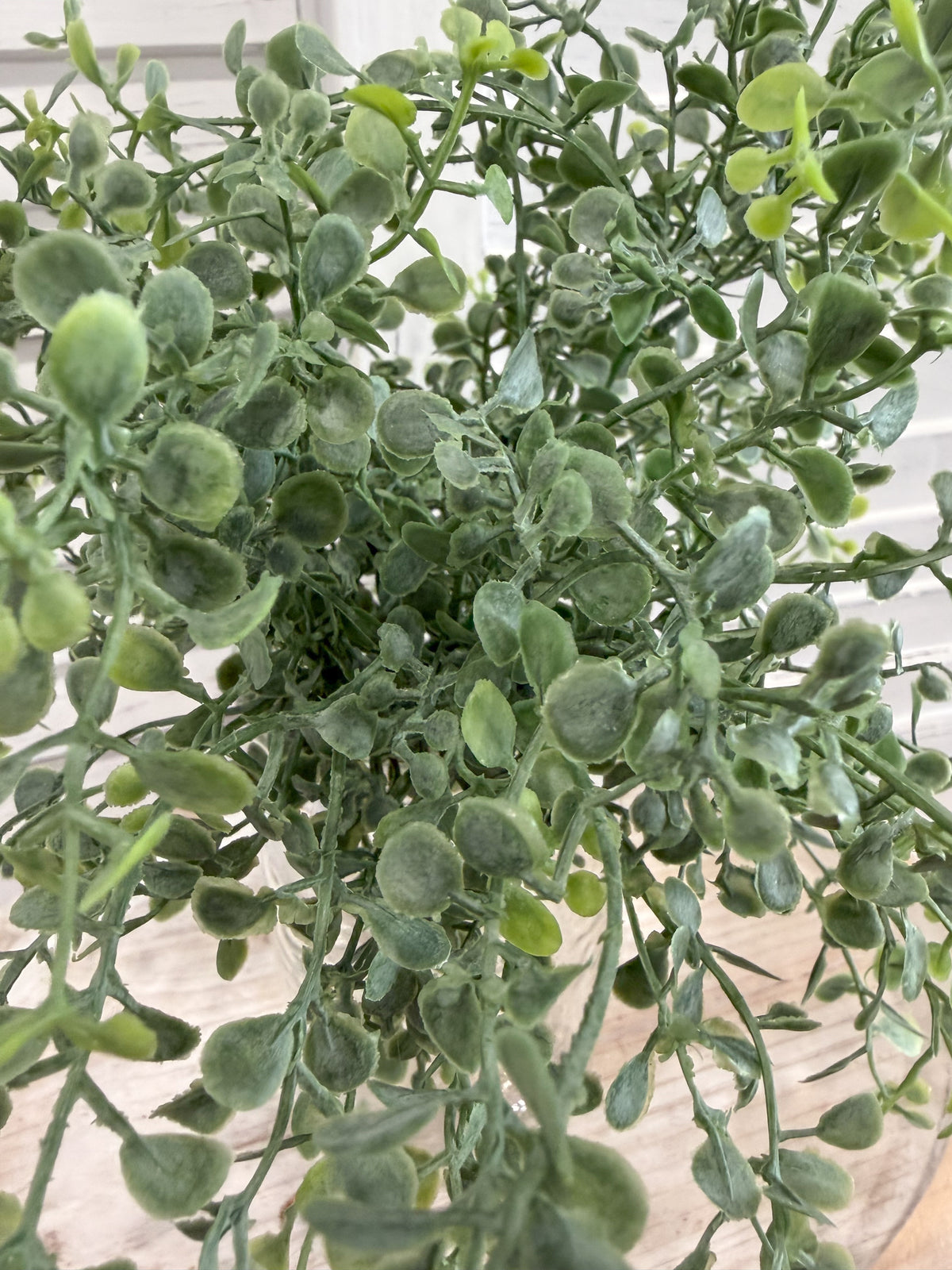 ITEM 11728 - 12" LIGHT GREEN FRESH TOUCH BABY TEARS BUSH