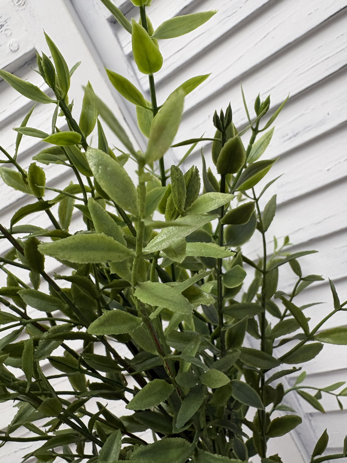 ITEM 11733 - 23.5" FRESH TOUCH WILLOW LEAF SPRAY BUNDLE - 3 PIECES PER BUNDLE