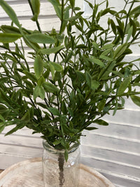 ITEM 11734 - 17.5" FRESH TOUCH WILLOW LEAF BUSH