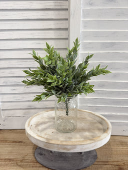 ITEM 11740 - 12" RUSCUS BUSH
