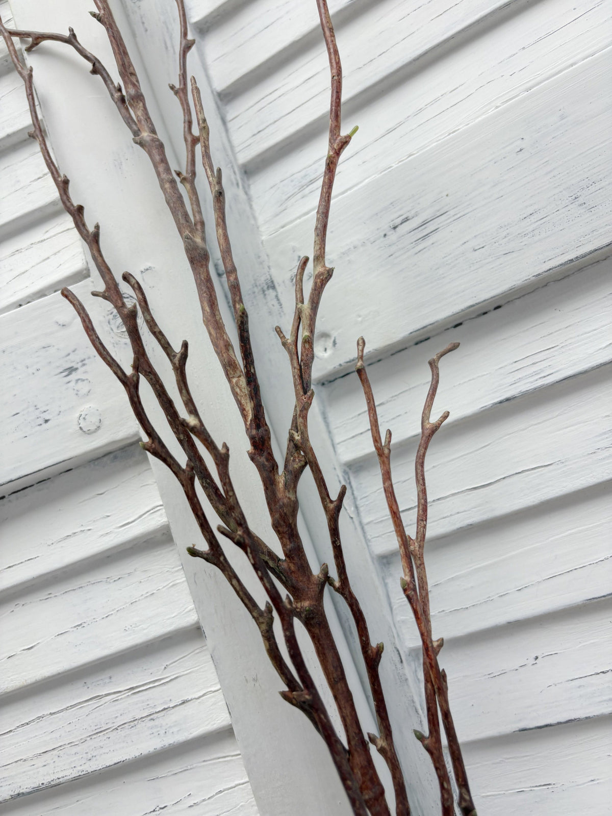ITEM 11743 - 41.5" PLUM BLOSSOM BRANCH
