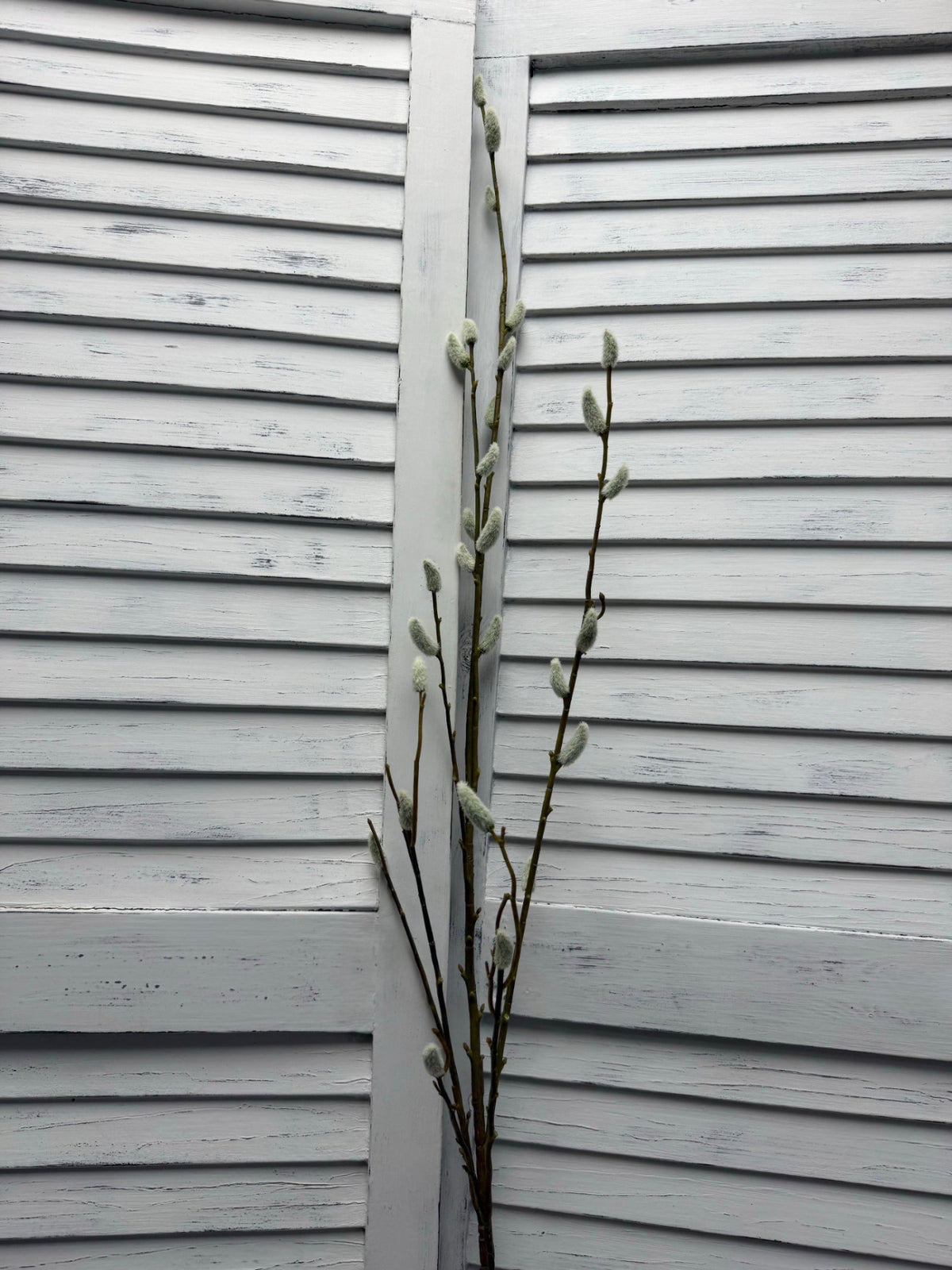 ITEM 11745 - 52" PUSSY WILLOW SPRAY