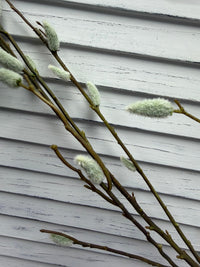 ITEM 11745 - 52" PUSSY WILLOW SPRAY