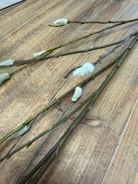 ITEM 11745 - 52" PUSSY WILLOW SPRAY