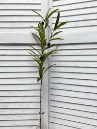 ITEM 11746 - 33.5" OLIVE BRANCH