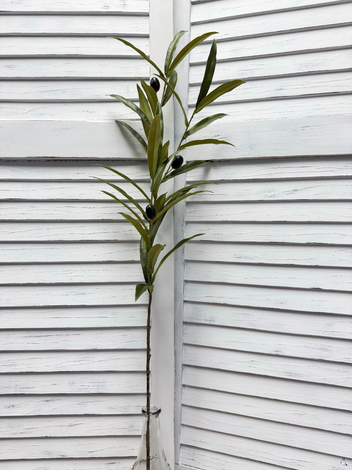 ITEM 11746 - 33.5" OLIVE BRANCH
