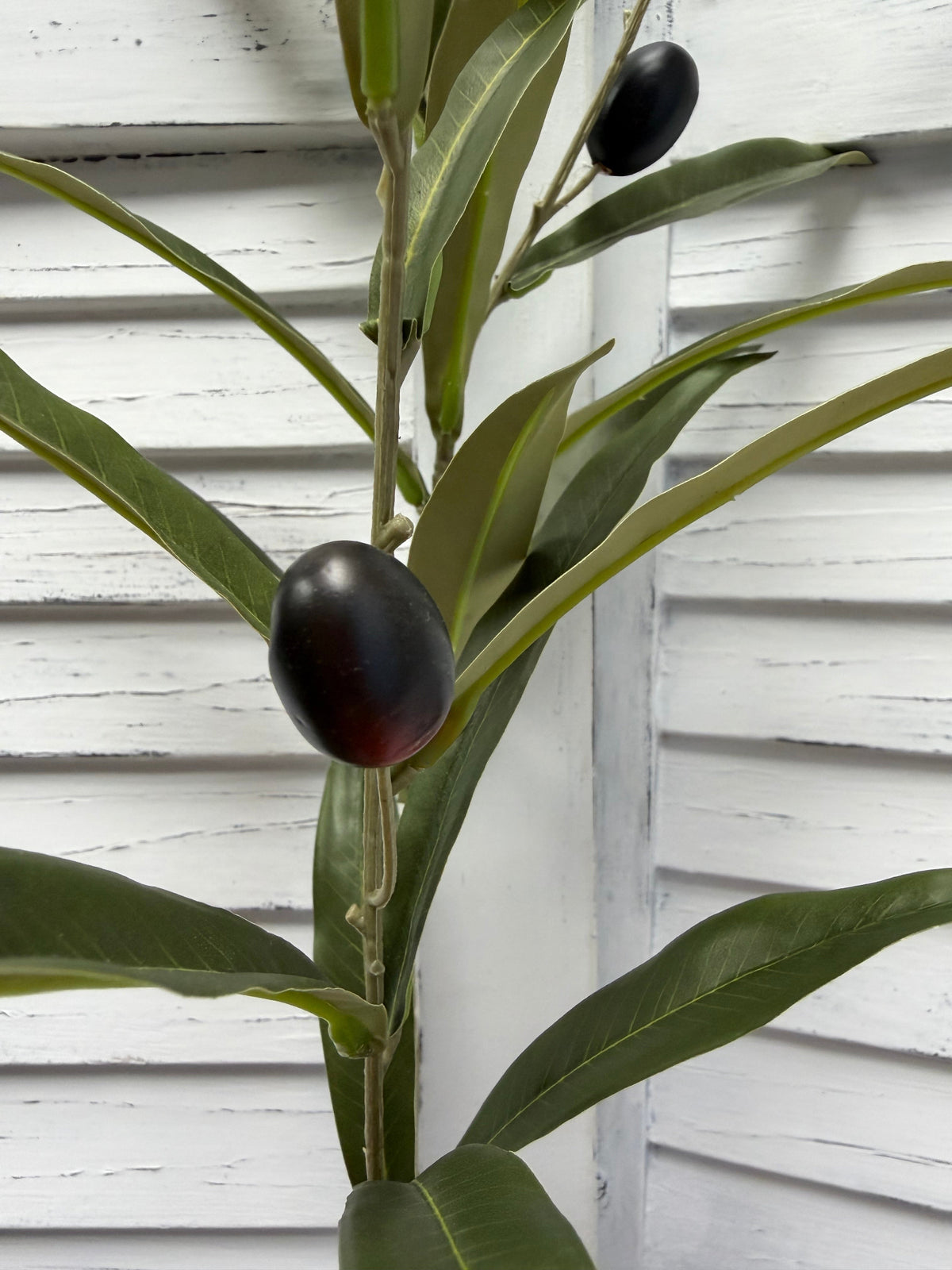 ITEM 11746 - 33.5" OLIVE BRANCH